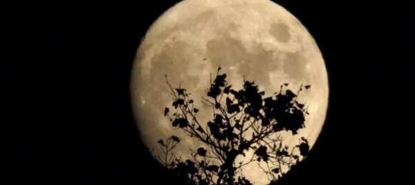 aperto-un-campione-della-luna-sigillato-cinquant-anni-fa