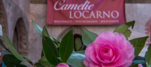 concerti-delle-camelie-al-via-la-quattordicesima-edizione