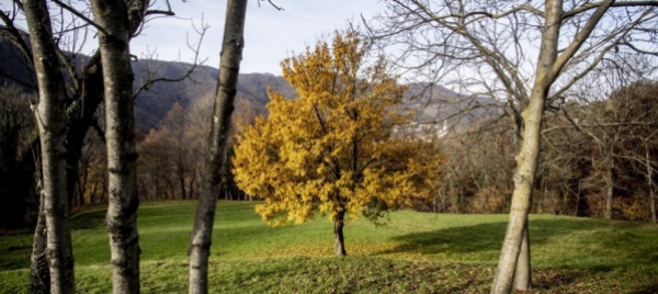 iniziativa-biodiversita-ecco-il-piano-b-del-governo