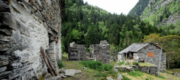 rustici-contro-le-ruspe-la-prescrizione
