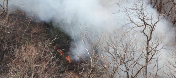 fiamme-nel-bosco-a-lugano