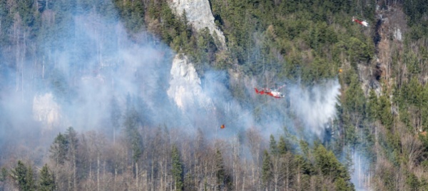 berna-vasto-incendio-nella-foresta-presso-meiringen