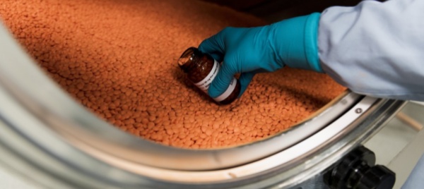 il-settore-chimico-farmaceutico-fa-lievitare-le-esportazioni