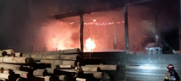 incendio-alla-afor-di-taverne-si-sospetta-il-dolo