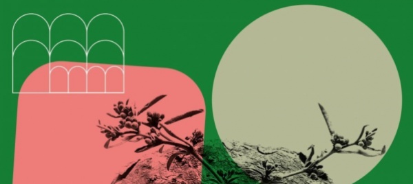 trickster-p-e-i-mondi-possibili-di-eutopia-al-lac