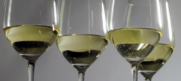 amici-del-vino-di-bellinzona-in-assemblea