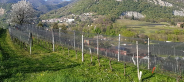 torna-la-camminata-popolare-castellana