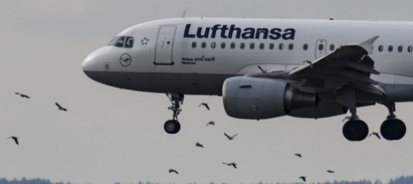 il-patron-di-k-hne-nagel-entra-nel-capitale-di-lufthansa