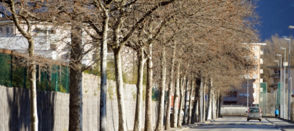 locarno-passeggiata-con-l-associazione-fratello-albero