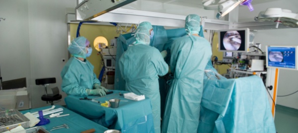 losone-dibattito-sulla-donazione-di-organi