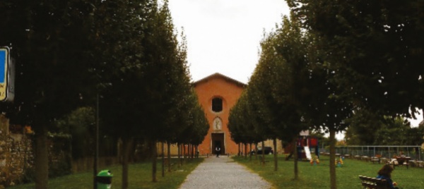 mendrisio-valorizza-le-vie-con-nuove-alberature
