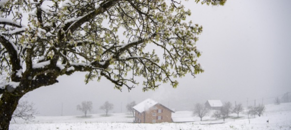 la-primavera-in-svizzera-porta-freddo-e-neve