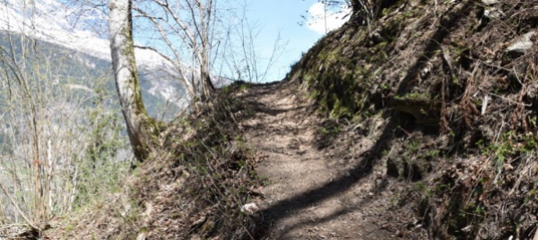 anziano-cade-e-muore-mentre-lavora-al-sentiero-in-montagna