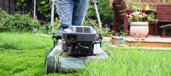 una-giornata-dedicata-ai-consigli-per-un-giardinaggio-silenzioso