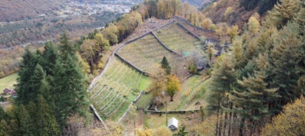 aurigeno-una-chiazza-viva-ricettacolo-di-storia-e-tradizioni