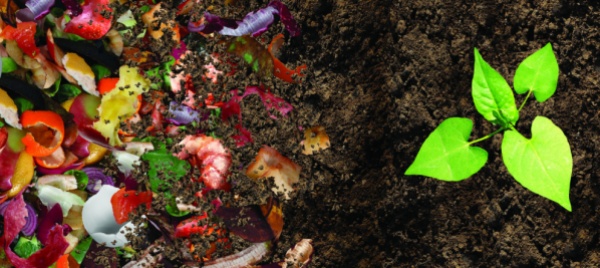 dalla-terra-alla-terra-il-compost-in-agricoltura