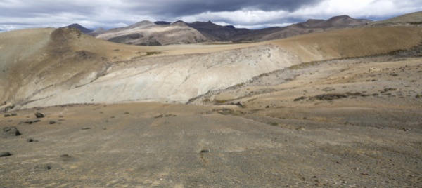patagonia-dal-ghiaccio-ecco-fiona-femmina-d-ittiosauro-incinta