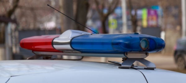 minaccia-una-sparatoria-di-massa-bimbo-di-10-anni-arrestato