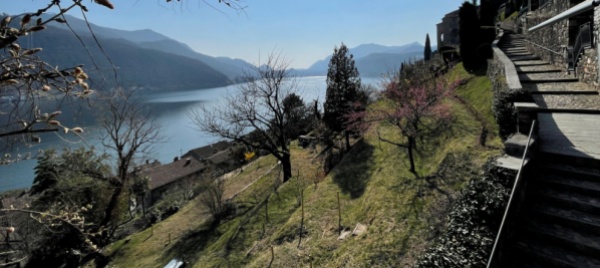morcote-bonifica-i-terreni-terrazzati-e-ne-fa-orti-e-giardini