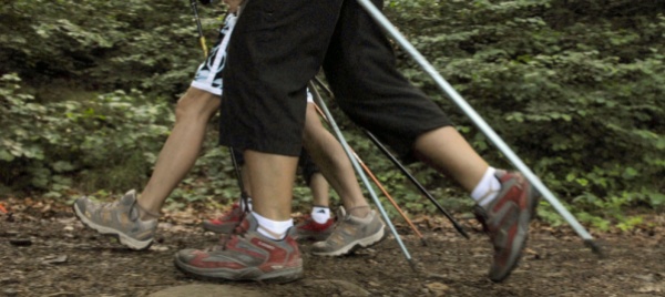 gambarogno-in-marcia-il-12-giugno-a-passo-di-walking