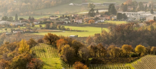 valle-muggio-progetti-in-4-punti-dai-formaggini-al-macello