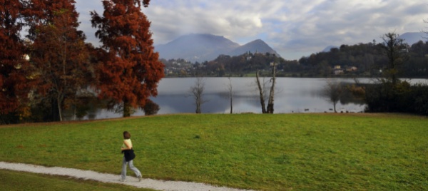 verdi-di-lugano-in-assemblea-nel-verde-di-muzzano