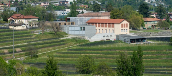 penuria-di-acqua-verso-un-approccio-insubrico