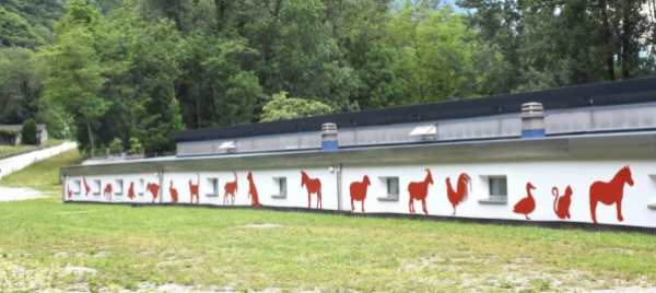 bellinzona-giornate-di-porte-aperte-alla-spab
