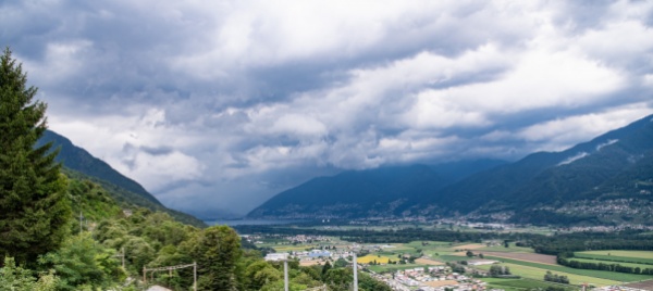 bosco-bolla-grande-interventi-forestali-urgenti
