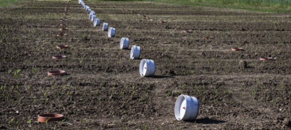 l-agricoltura-svizzera-verso-un-futuro-sostenibile