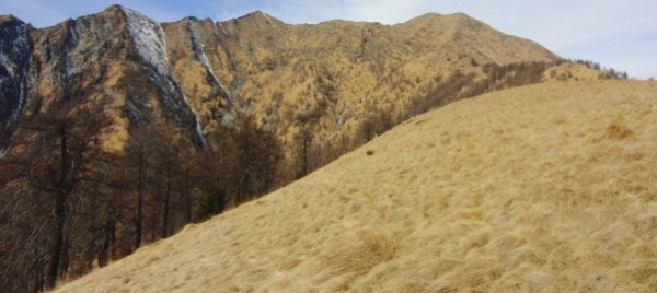 onsernone-fulmine-innesca-incendio-boschivo