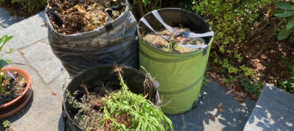 discarica-del-verde-di-tegna-alternative-e-costi
