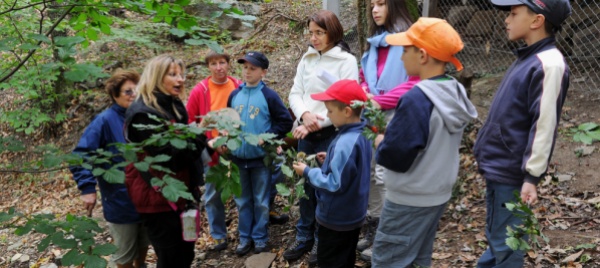 dotare-la-citta-di-un-aula-nel-bosco