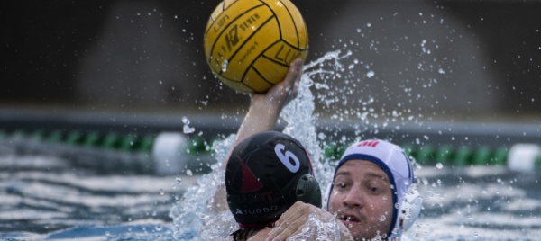 la-stagione-degli-sharks-si-arresta-a-carouge