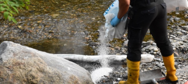 davesco-soragno-a-finire-nel-fiume-migliaia-di-litri