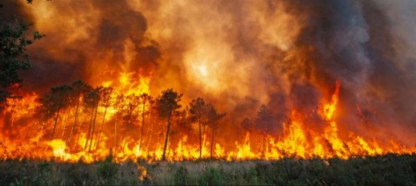 francia-sempre-nella-morsa-delle-fiamme