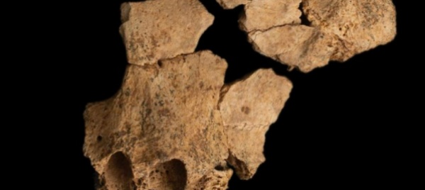 in-spagna-trovato-fossile-con-il-volto-del-primo-europeo
