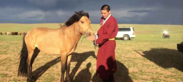 cadro-in-arrivo-l-hamba-lama-shinendentsel