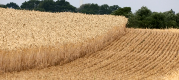 mosca-ammette-i-raid-ma-l-intesa-sul-grano-resta