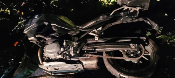 cadono-un-palo-della-luce-una-pianta-e-urtano-un-motociclista