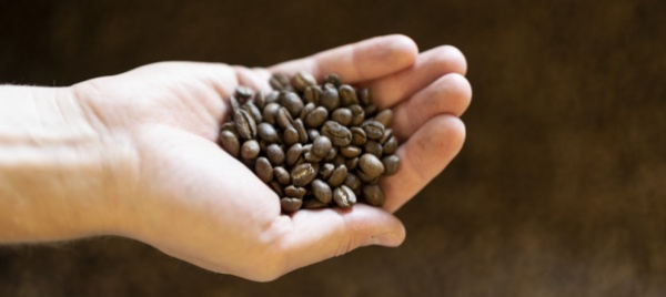 caffe-sostenibile-pronto-il-nuovo-stabilimento-di-nestle