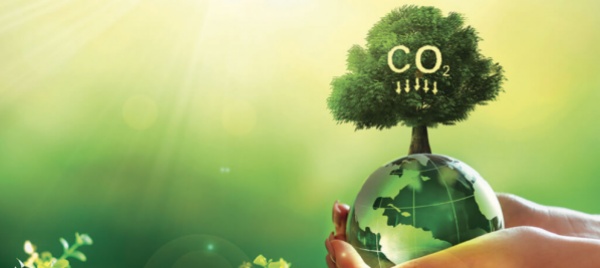 strategia-energetica-per-le-colture-coperte-le-mosse-di-jardinsuisse-ticino