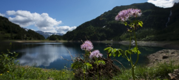 torna-la-corsa-in-salita-rodi-tremorgio