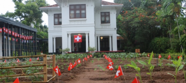 l-ambasciata-svizzera-in-sri-lanka-trasforma-il-prato-in-orto