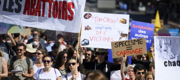 in-300-a-losanna-per-manifestare-a-favore-degli-animali