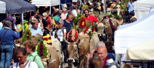 un-ferragosto-alpino-a-san-bernardino