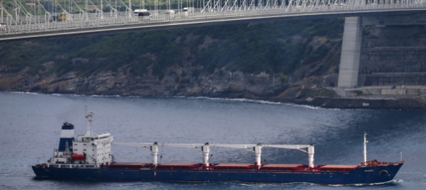 navi-con-cereali-ucraini-verso-turchia-regno-unito-e-irlanda