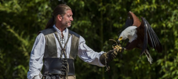 gita-alla-falconeria-di-locarno-con-l-atte-blenio-riviera