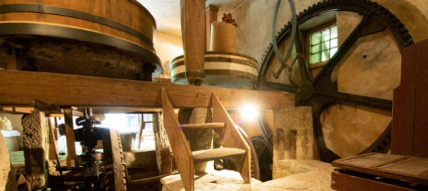 torna-la-festa-del-mulino-di-bruzella