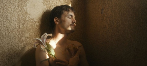 il-sesso-i-sessi-in-concorso